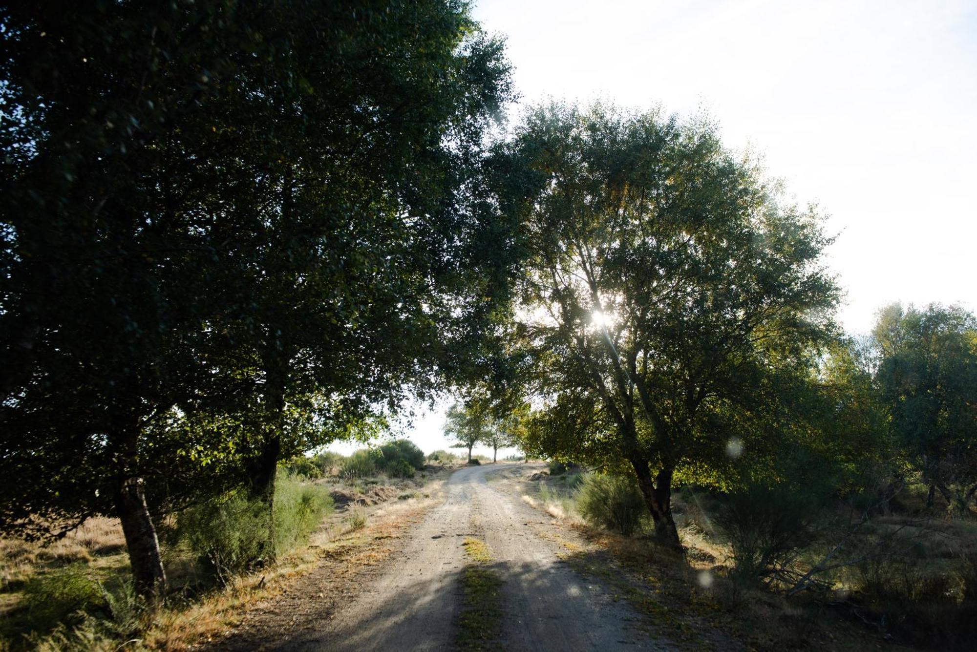 Séjour à la campagne A Lagosta Perdida Montezinho