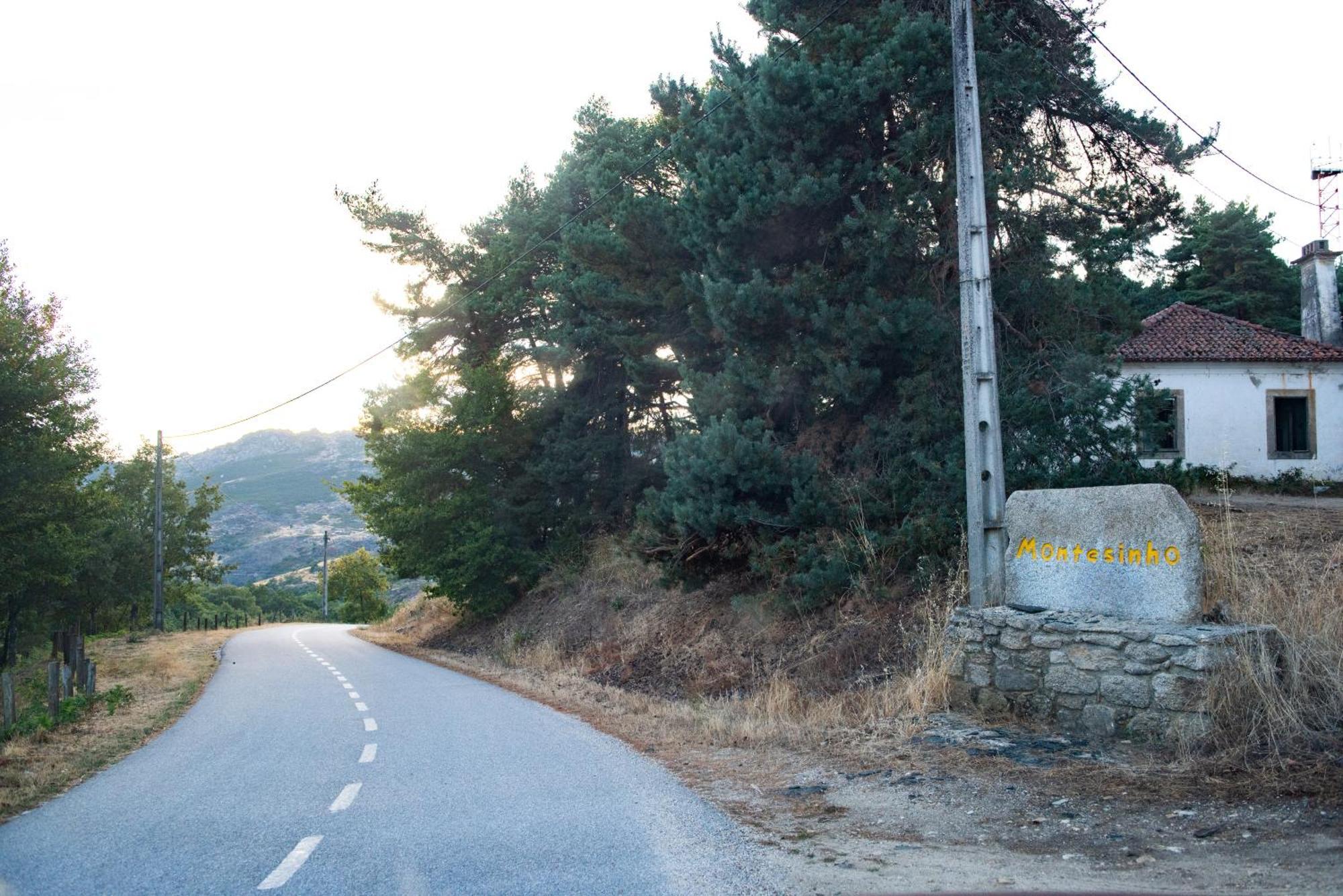 A Lagosta Perdida Montezinho