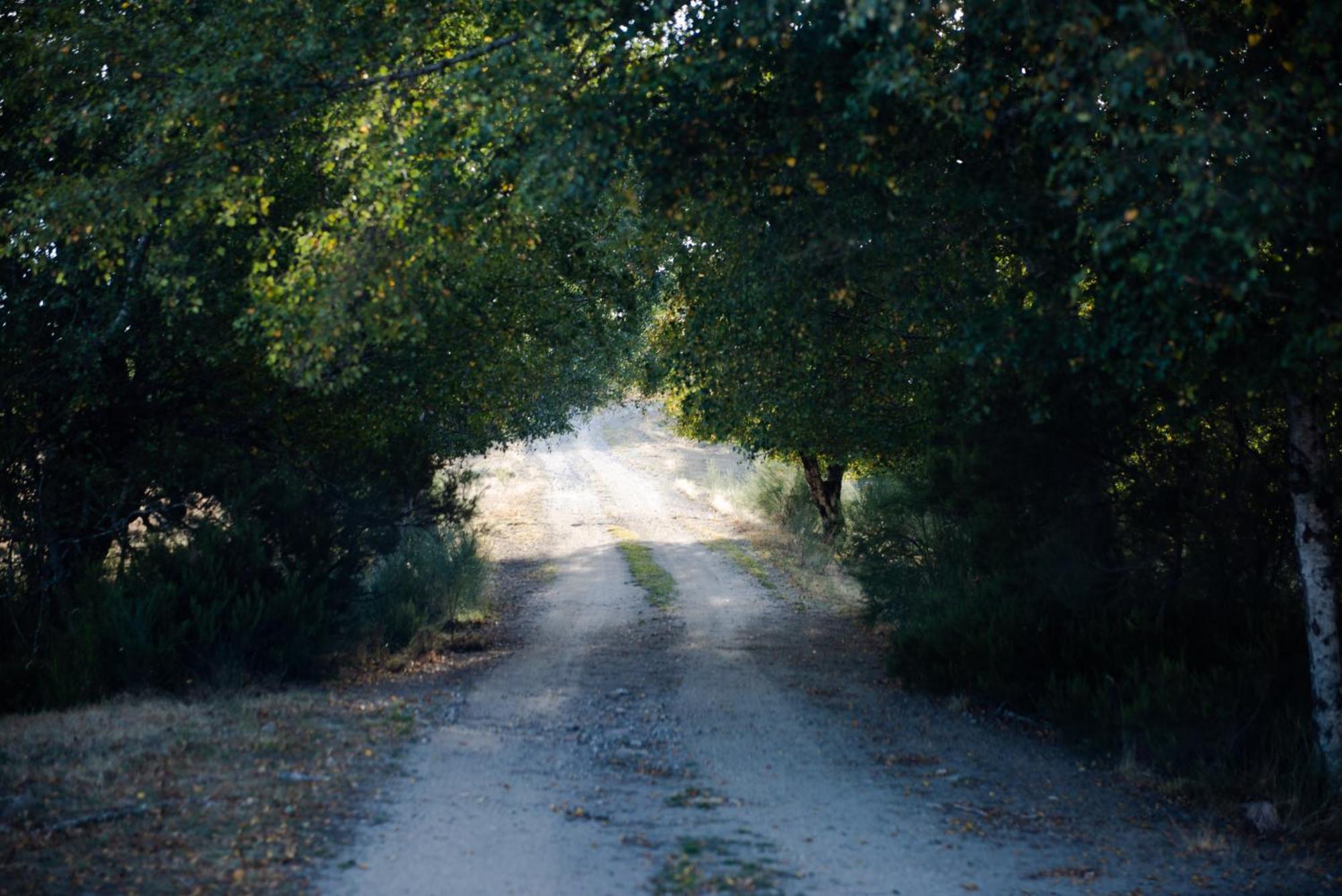 Séjour à la campagne A Lagosta Perdida
